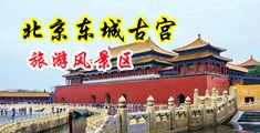 欧美老妇zzxxoo中国北京-东城古宫旅游风景区